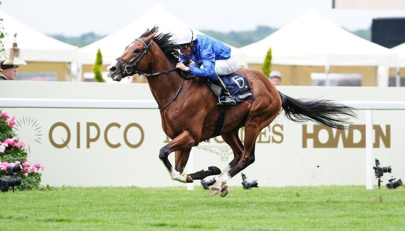 【プリンスオブウェールズS】オンブズマンが4馬身差の圧勝!ダリズ、ミニーホークを完封