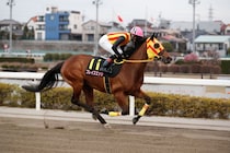 【グランダム・ジャパン】ブレイズエッジが3歳シーズン総合優勝…関東オークス3着でシリーズ女王に