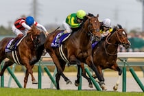 【QE2ジュビリーS】サトノレーヴはムーア騎手と18番ゲート…ルガルは4番ゲートから戴冠狙う