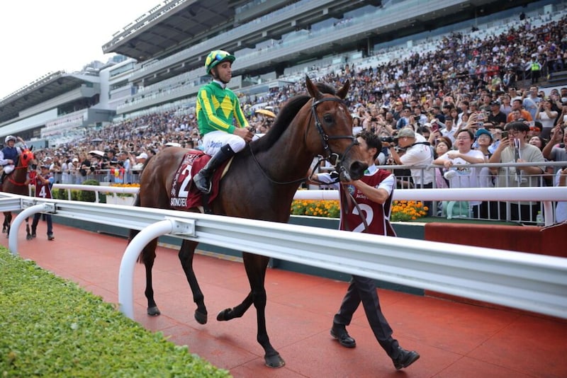 【QE2世ジュビリーS】サトノレーヴ＆ルガル順調…世界の強豪撃破へ日本馬2頭が最終調整