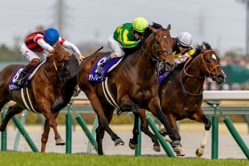 【QE2世ジュビリーS】サトノレーヴはムーア騎手と18番ゲート…ルガルは4番ゲートから戴冠狙う