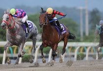 【水沢・みちのく大賞典】昨年覇者リケアカプチーノが連覇へ…門別三冠馬ラッキードリームも参戦