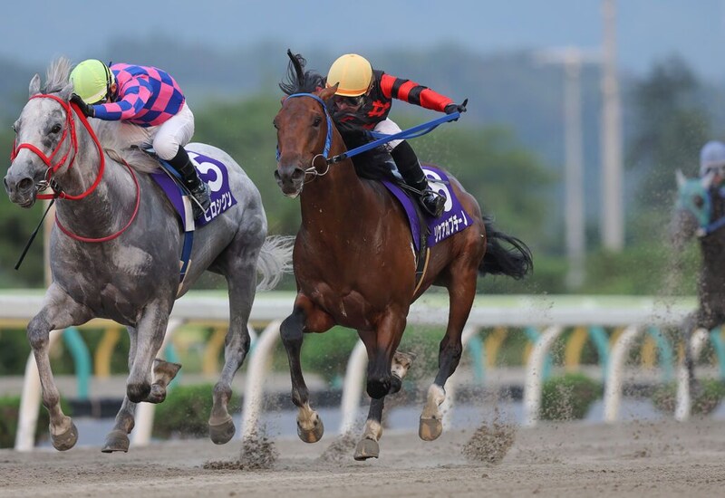 【水沢・みちのく大賞典】昨年覇者リケアカプチーノが連覇へ…門別三冠馬ラッキードリームも参戦