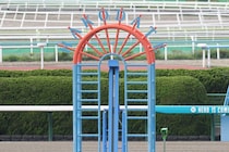 【函館8R】骨折休養乗り越えたナクライトが中央初勝利…鮮やか逃げ切りV