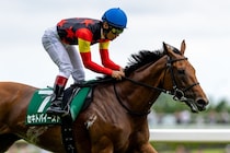 【府中牝馬S】浜中「今の東京は得意の条件」セキトバイースト鮮やか逃げ切りV