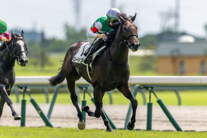 【ラジオNIKKEI賞登録馬】ローベルクランツなど20頭