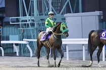【さきたま杯】1番人気ウィルソンテソーロ敗れる…レース後ジョッキーコメント