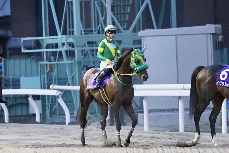 【さきたま杯】1番人気ウィルソンテソーロ敗れる…レース後ジョッキーコメント