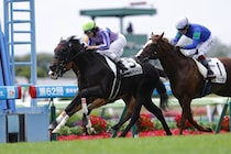 【新馬/函館5R】好調エフフォーリア産駒！アゴルディーノがデビューV…早くも産駒4頭目の勝ち上がり