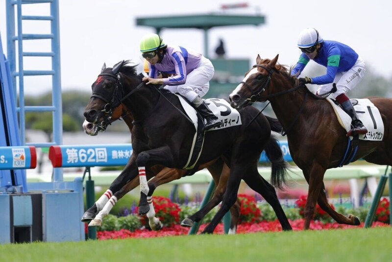 【新馬/函館5R】好調エフフォーリア産駒！アゴルディーノがデビューV…早くも産駒4頭目の勝ち上がり