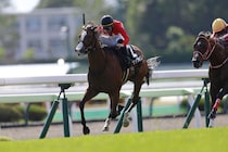 【青函S】ブラックチャリスがハナ差で競り勝つ…人気に応えて快勝
