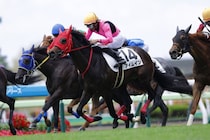 【函館4R】ブラストワンピースの半弟・アイムインが初勝利…大外一気で豪快に差し切る