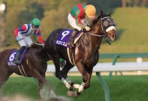 【盛岡・ハヤテスプリント】エイシンリガーズが園田勢初V狙う…遠征馬優勢の一戦、地元勢はジェイエルビットに期待