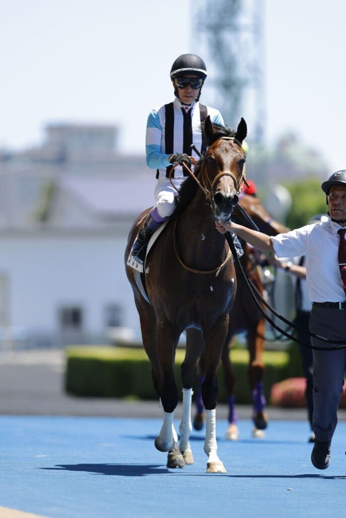 【新馬/函館5R】武豊、通算5000勝まであと4！シグレで断然人気に応える快勝