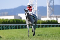 【北九州記念登録馬】デアヴェローチェなど13頭