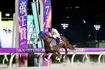 【帝王賞】連覇かかるミッキーファイトは6枠8番