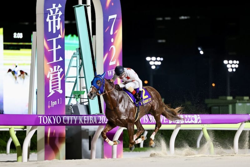 【帝王賞】連覇かかるミッキーファイトは6枠8番