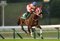 【盛岡・サファイア賞】セイクリスティーナが3馬身差完勝…山本聡哉「ベストパフォーマンスを見せてくれた」
