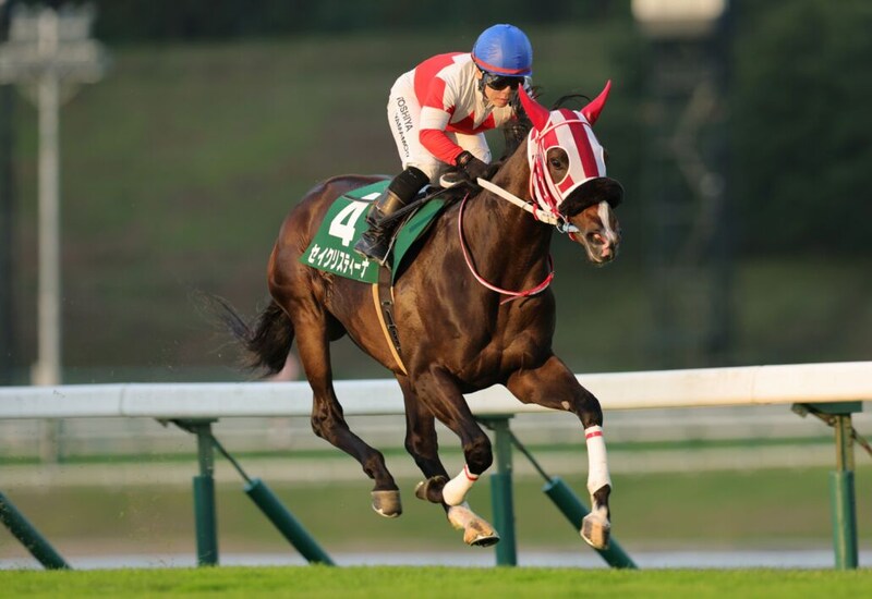 【盛岡・サファイア賞】セイクリスティーナが3馬身差完勝…山本聡哉「ベストパフォーマンスを見せてくれた」