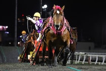 【ばんえい・柏林賞】スターイチバンが人気に応え圧勝…4歳三冠初戦を制し世代王者へ名乗り