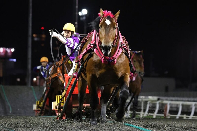 【ばんえい・柏林賞】スターイチバンが人気に応え圧勝…4歳三冠初戦を制し世代王者へ名乗り