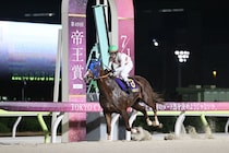 【帝王賞】ミッキーファイトが連覇達成！磐石の競馬でライバル完封