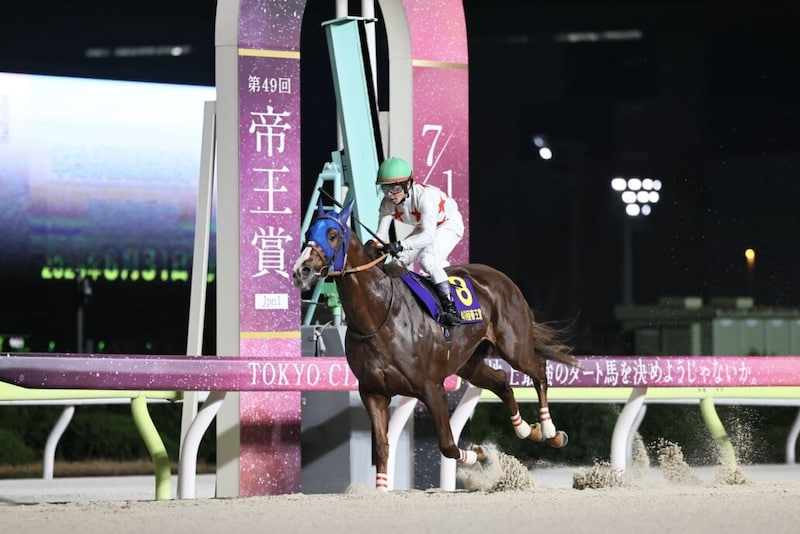 【帝王賞】ミッキーファイトが連覇達成！磐石の競馬でライバル完封