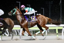 【帝王賞】直線入口では勝利もよぎる脚色…セラフィックコールが見せ場演出の4着