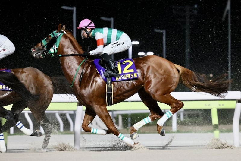 【帝王賞】直線入口では勝利もよぎる脚色…セラフィックコールが見せ場演出の4着