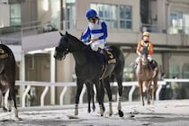 【帝王賞レース後談話】横山和生「この経験を糧に」2番人気ロードクロンヌは6着