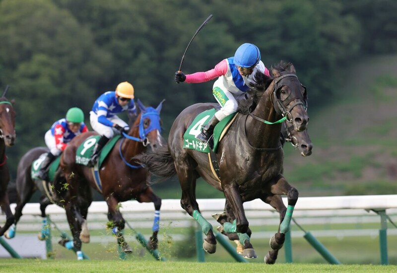 【盛岡・せきれい賞展望】11歳馬ゴールドギアが連覇へ挑戦…中央実績馬も集結で盛岡芝2400mは激戦必至