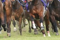 【新馬/福島5R】エフフォーリア産駒がまた勝った！スタースポットがデビューV