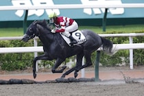 【小倉6R】ピエナオルカが8馬身差圧勝！断然の強さで逃げ切る