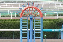 【新馬/函館5R】フライトライン産駒ショウナンガレオンがレコードV…2億円ホースが初陣飾る