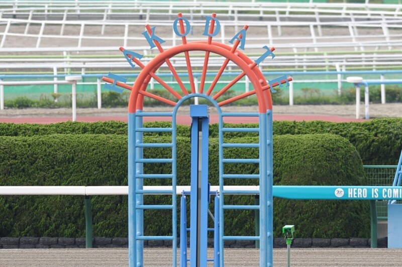 【新馬/函館5R】フライトライン産駒ショウナンガレオンがレコードV…2億円ホースが初陣飾る