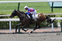 【新馬/小倉6R】パイロ産駒タケルレジェンドがデビューV…人気に応え鮮やか逃げ切り
