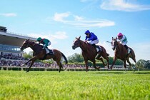 【仏サンクルー大賞】カランダガンが連覇、史上初のセン馬2勝目…次走はキングジョージ視野