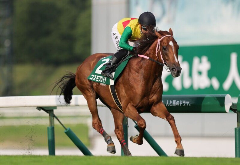 【盛岡・せきれい賞】コパノリッキー産駒が芝長距離重賞制覇！コスモフロイデ鮮やか逃げ切りV