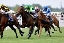 【英ジュライカップ】サトノレーヴが英G1に登録…QE2世ジュビリーS覇者アルメラクと再戦へ