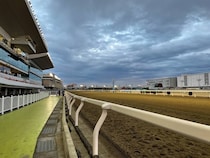 【スパーキングレディーカップ】松山「すごく利口な馬」タガノミストが断然人気に応える