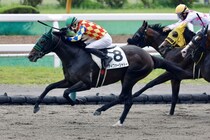 【函館8R】丹内祐次騎手が自身初の1日5勝をマーク！地元函館で大暴れ