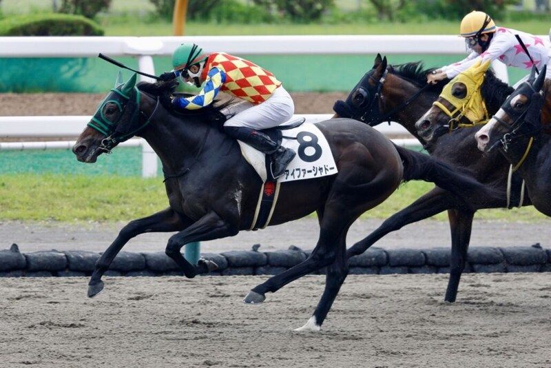 【函館8R】丹内祐次騎手が自身初の1日5勝をマーク！地元函館で大暴れ