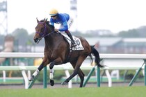 【新馬/函館5R】フレイコンが8馬身差圧勝！1番人気が能力の違いを見せつける