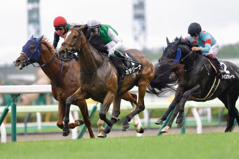 【五稜郭S】カテリーナがオープン入り…武豊騎手の5000勝はあと一歩で持ち越し