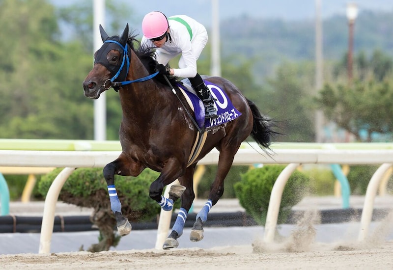 【盛岡・やまびこ賞】レジェンドバローズが重賞連勝へ、ベアコルムとの頂上決戦に注目