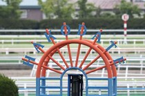 【函館8R】シャローファーストが鮮やかレコードV！函館ダ2400mの記録を2.1秒更新