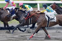 【函館7R】ヒミノエトワールが混戦から抜け出す…武豊騎手は通算5000勝達成