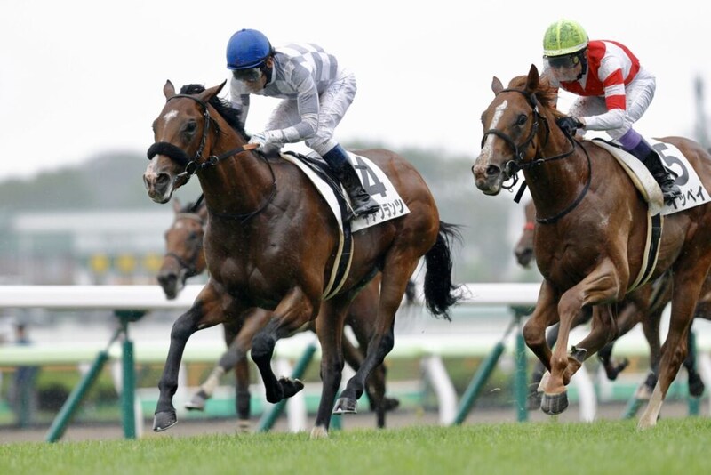 【新馬/函館5R】デアグランツが鮮やか差し切りV…武豊騎乗イッペイの追撃を封じる