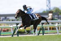 【函館2歳S登録馬】新馬圧勝のシグレなど15頭