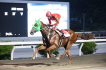 【高知・魚梁瀬杉特別】ザガラが2馬身差V…永森大智「まだまだ強くなると思います」